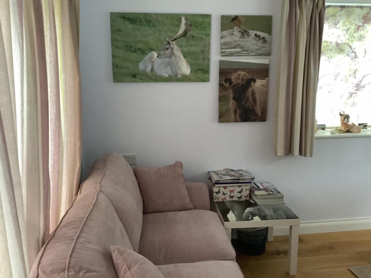 Exmoor Retreat On Two Moors Way Withypool Eksteriør bilde