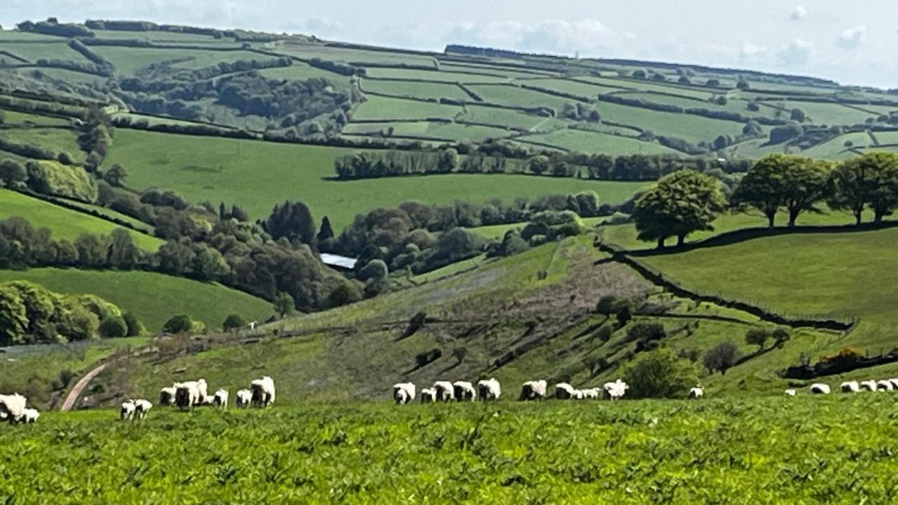 Exmoor Retreat On Two Moors Way Withypool Eksteriør bilde