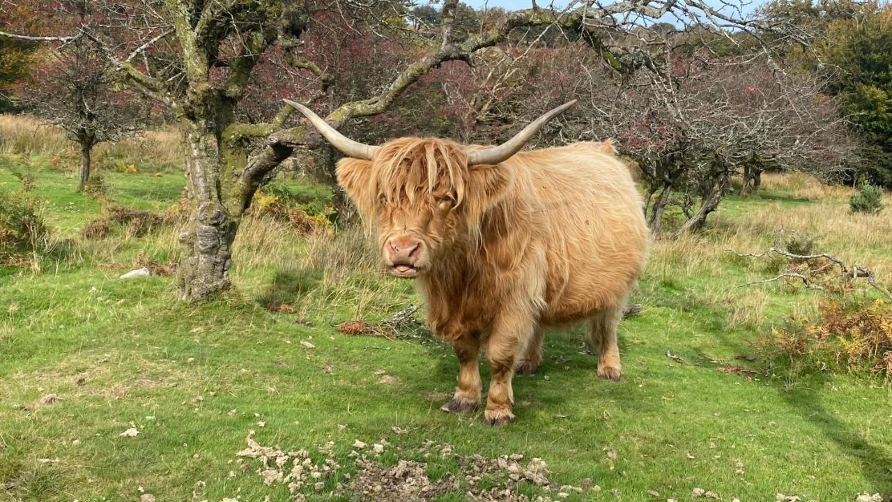 Exmoor Retreat On Two Moors Way Withypool Eksteriør bilde