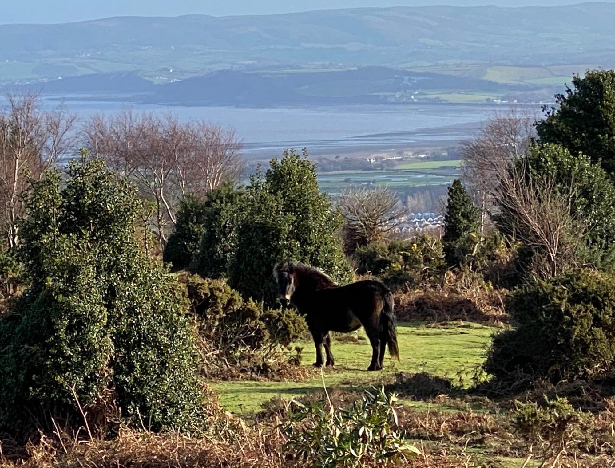 Exmoor Retreat On Two Moors Way Withypool Eksteriør bilde