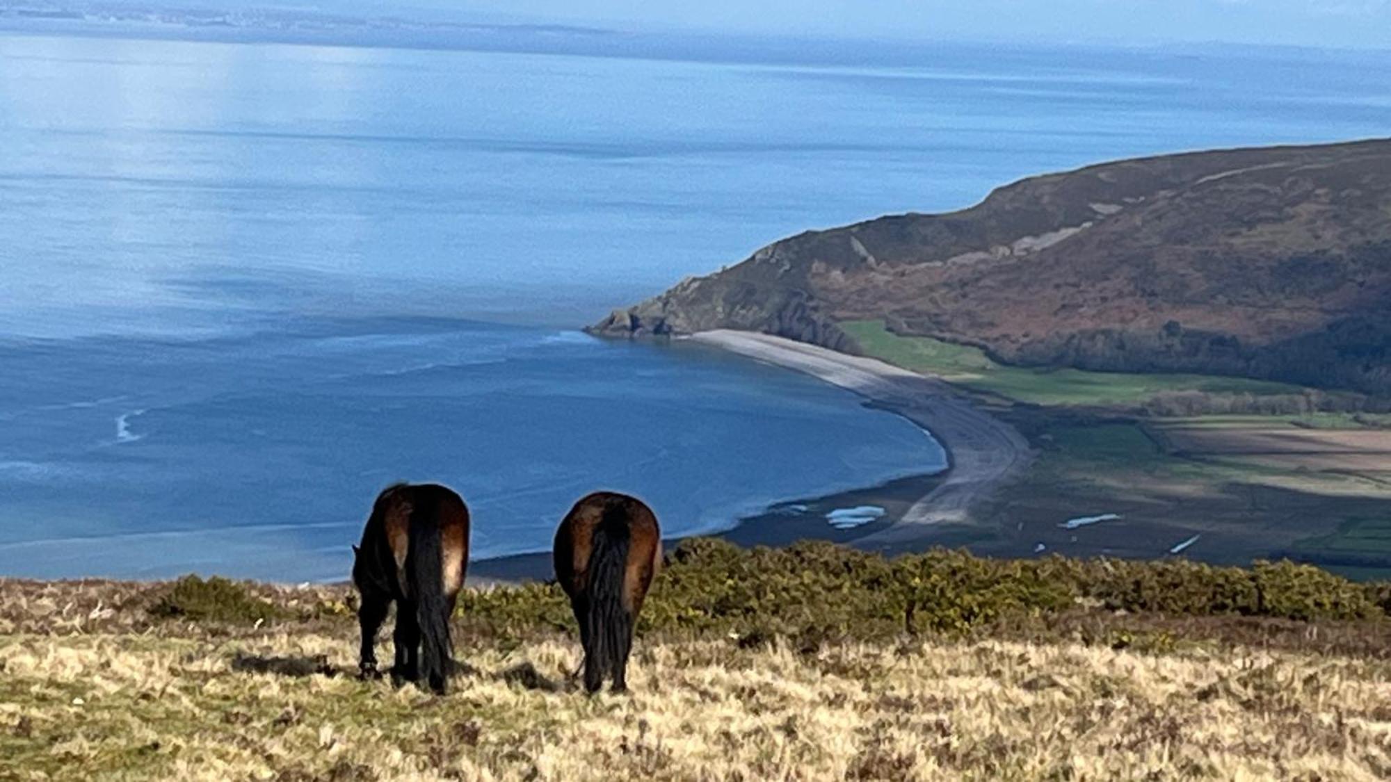 Exmoor Retreat On Two Moors Way Withypool Eksteriør bilde